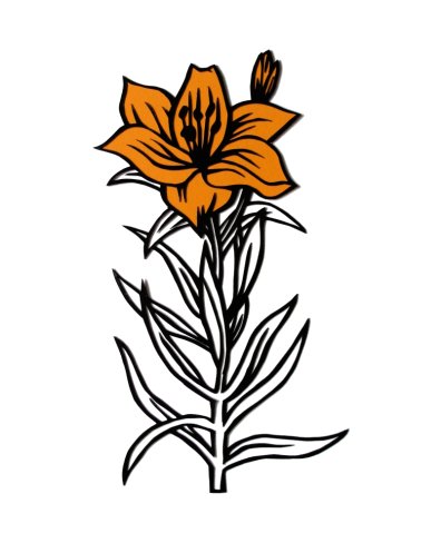 Orange lily