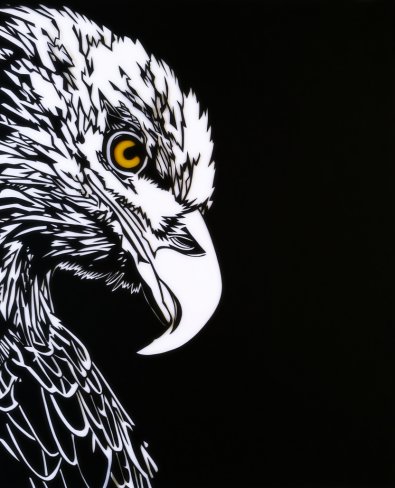 Bald eagle (steenarend) /43x53 cm, framed 60x70 cm/ 

